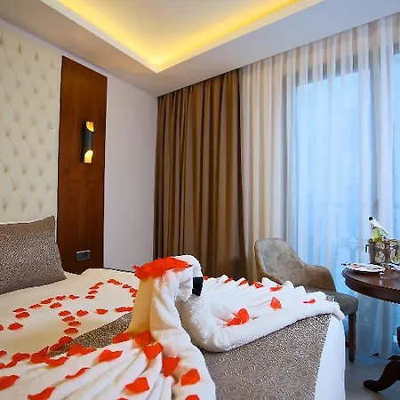 My Dream