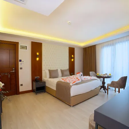 Hotel My Dream 3*