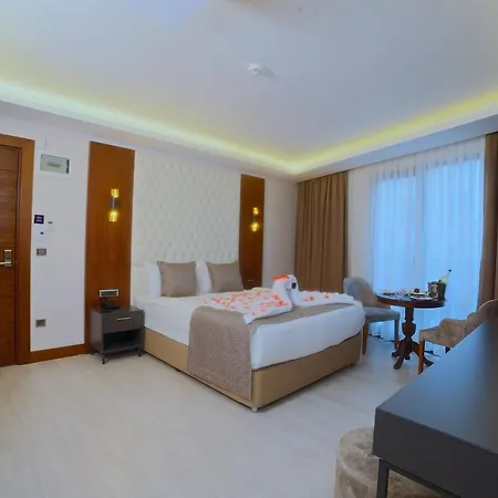 My Dream Hotel 3*